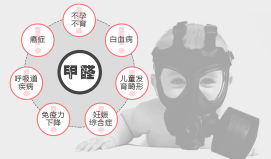 常見(jiàn)的“除甲醛”方法有哪些呢？有什么優(yōu)缺點(diǎn)？