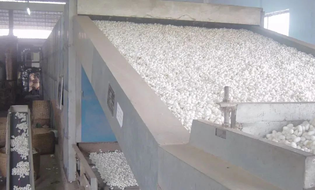 潔匠凈化·的凈工業除臭劑_繅絲廠“蠶繭烘干惡臭味”，Dejing的凈?除臭創造清新廠房！