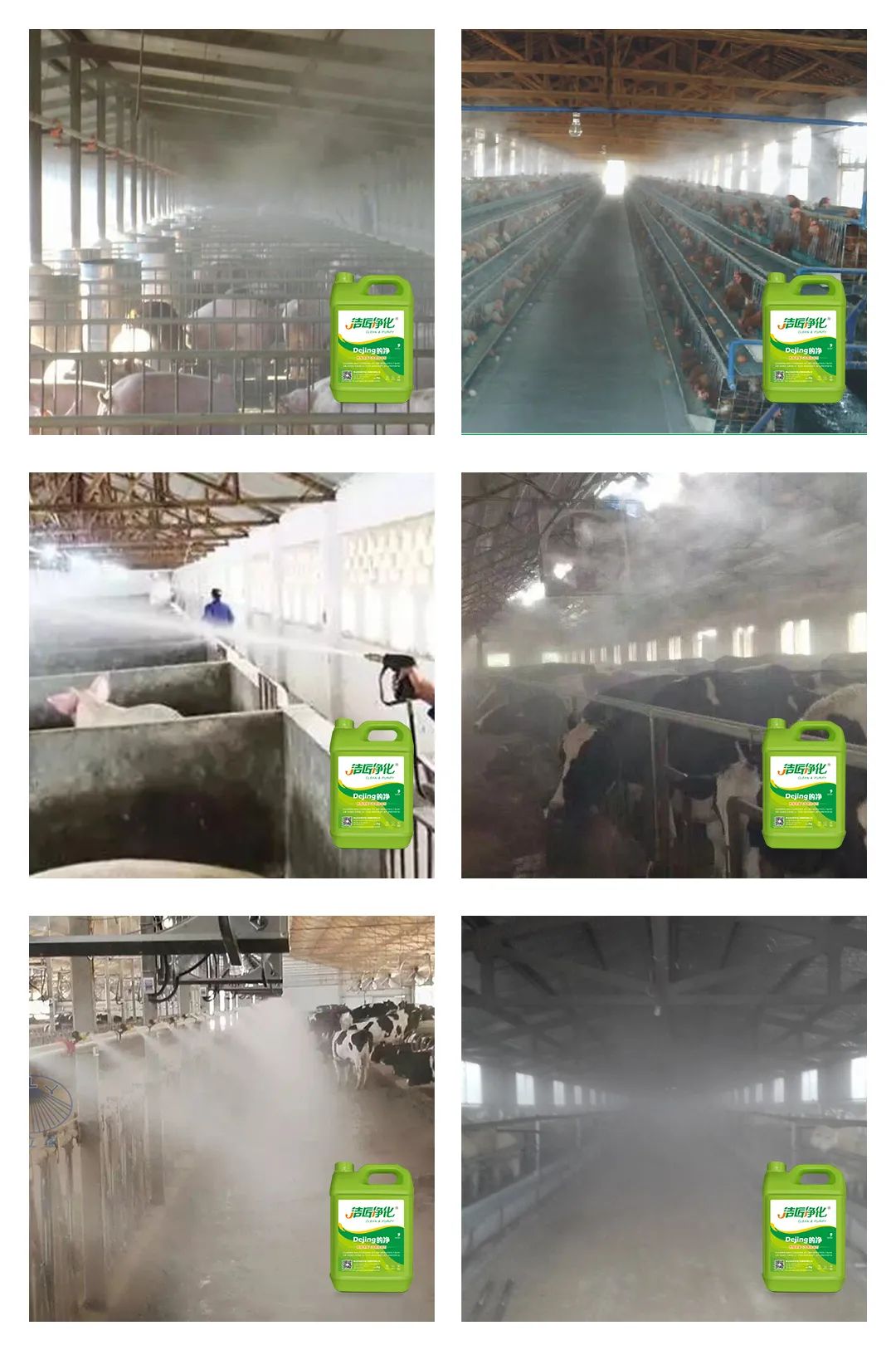 養殖場太臭，用Dejing的凈除臭劑迅速除臭！豬圈/雞場/牛場/羊圈....jpg