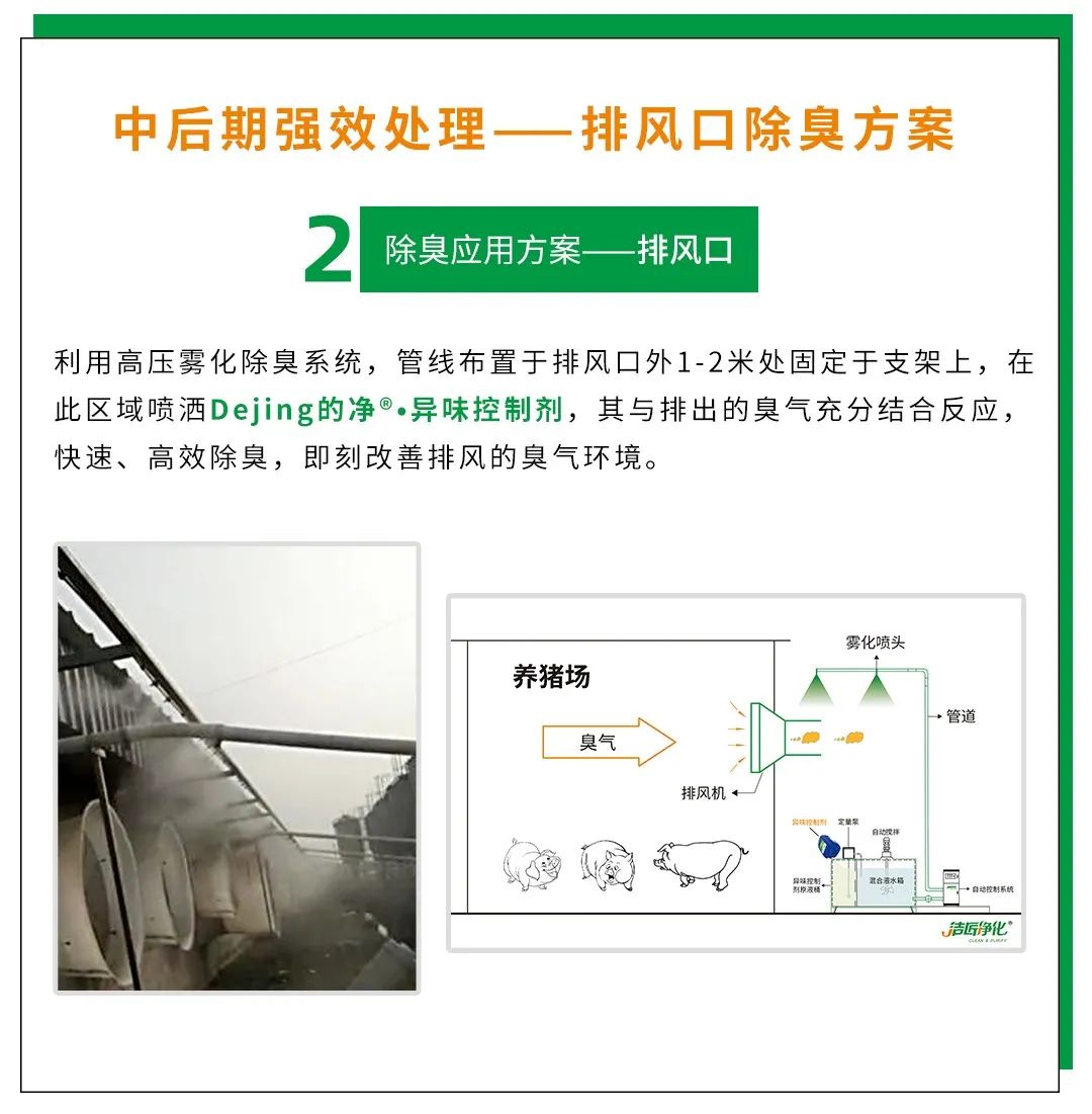 Dejing的凈養殖場除臭劑如何迅速清理養殖場臭味？.jpg